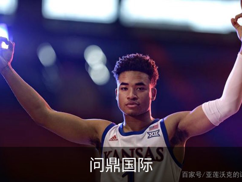 问鼎国际简介